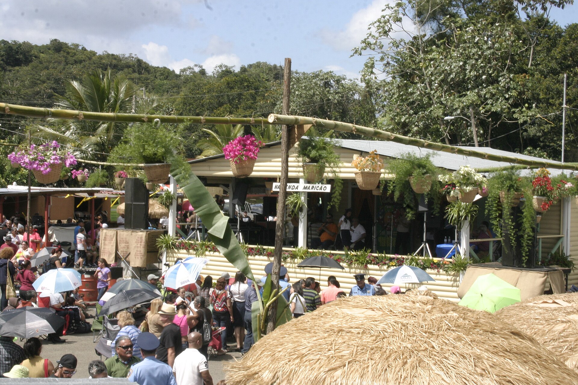 The Fiesta Acabe del Cafe coffee harvest festival at Hacienda Maricao, Maricao, Puerto Rico