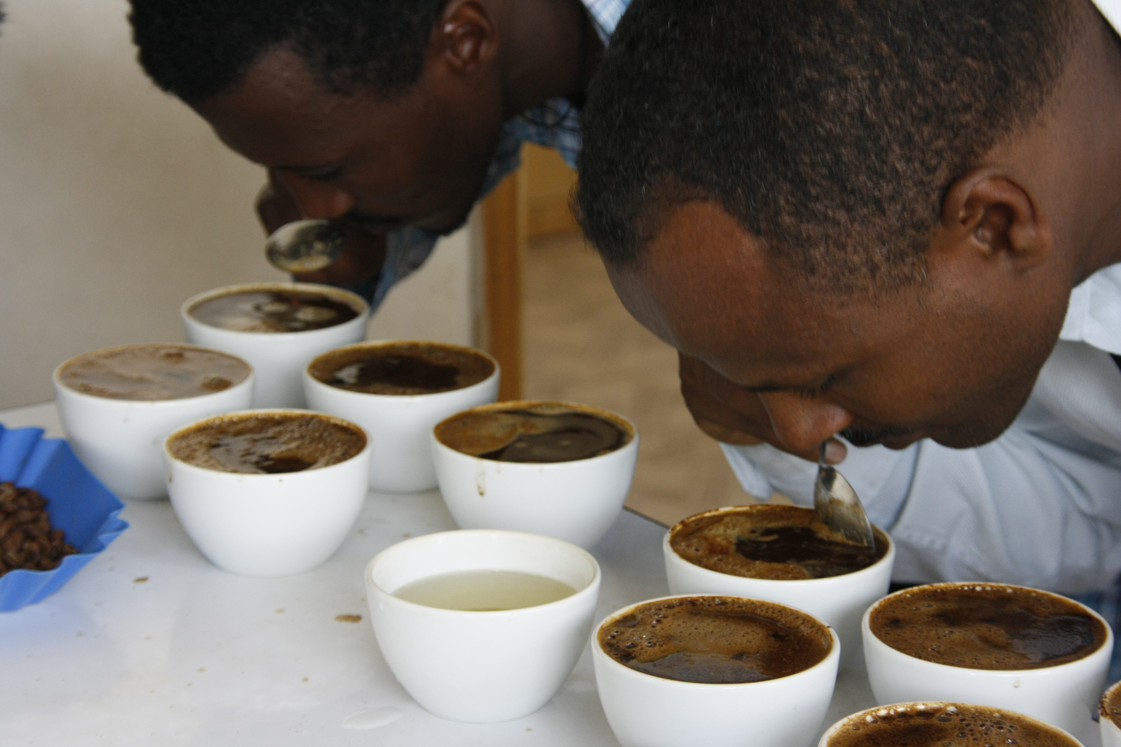 Two tasters slurping coffee from cupping spoons.