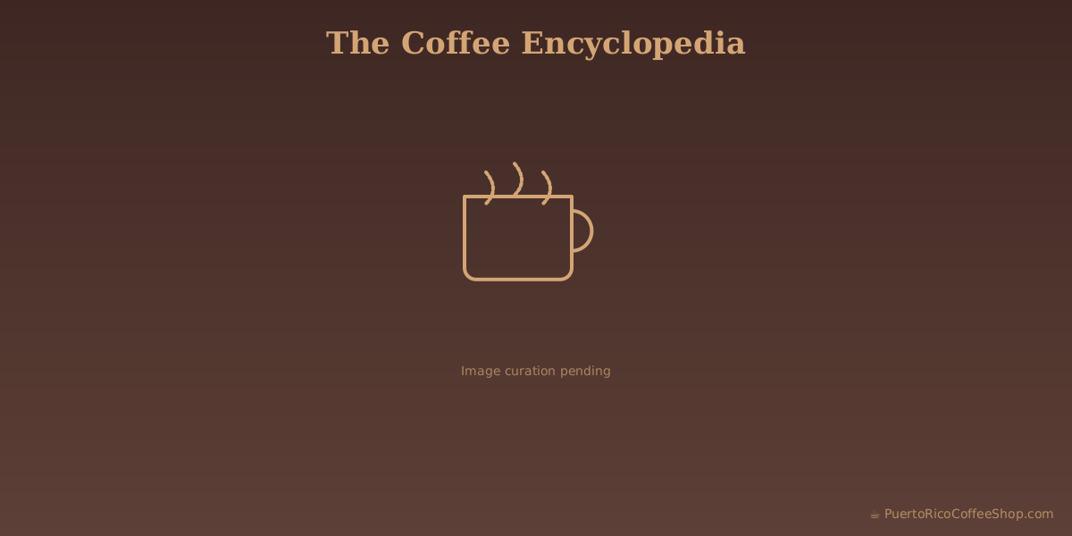 Placeholder graphic. No photograph is available for this section.