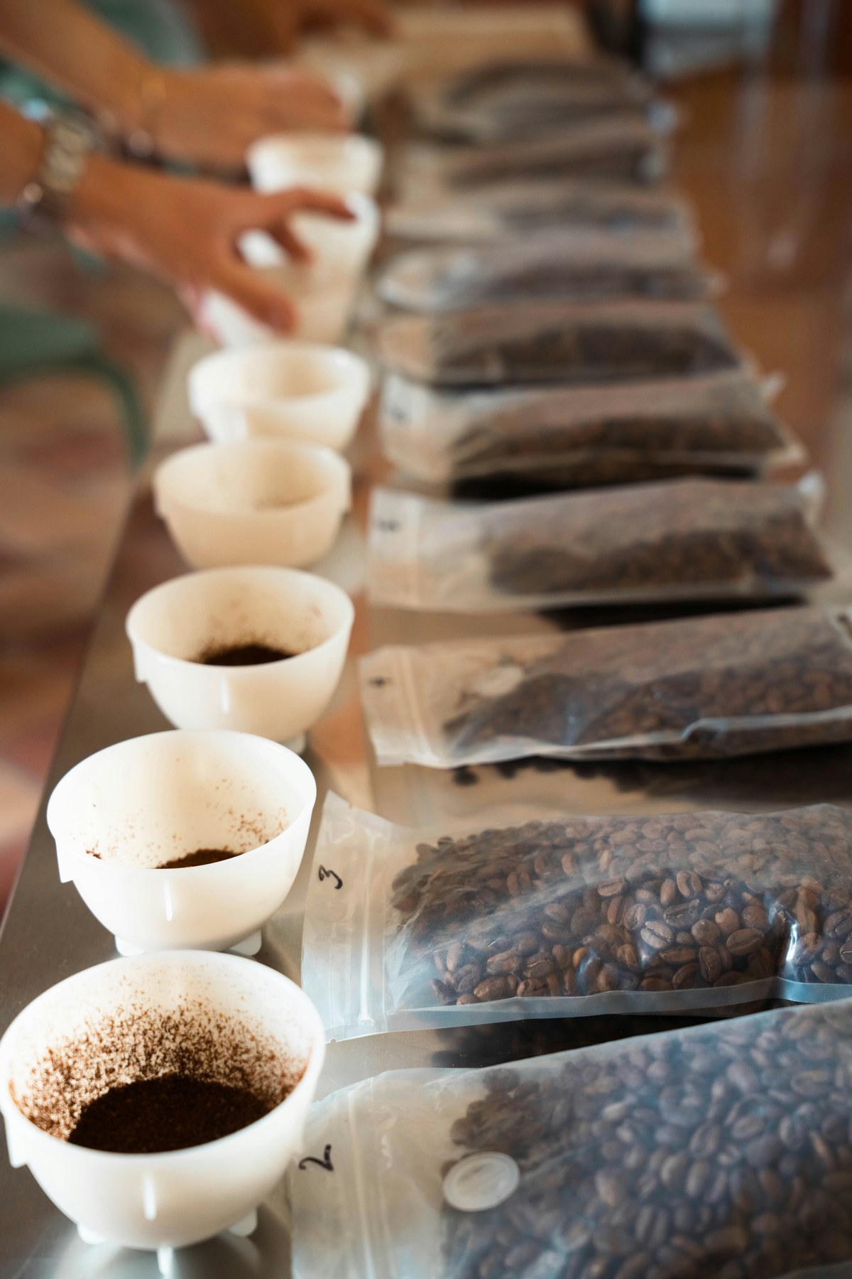 Coffee samples set out for cupping, the standard method for judging a coffee's flavour.