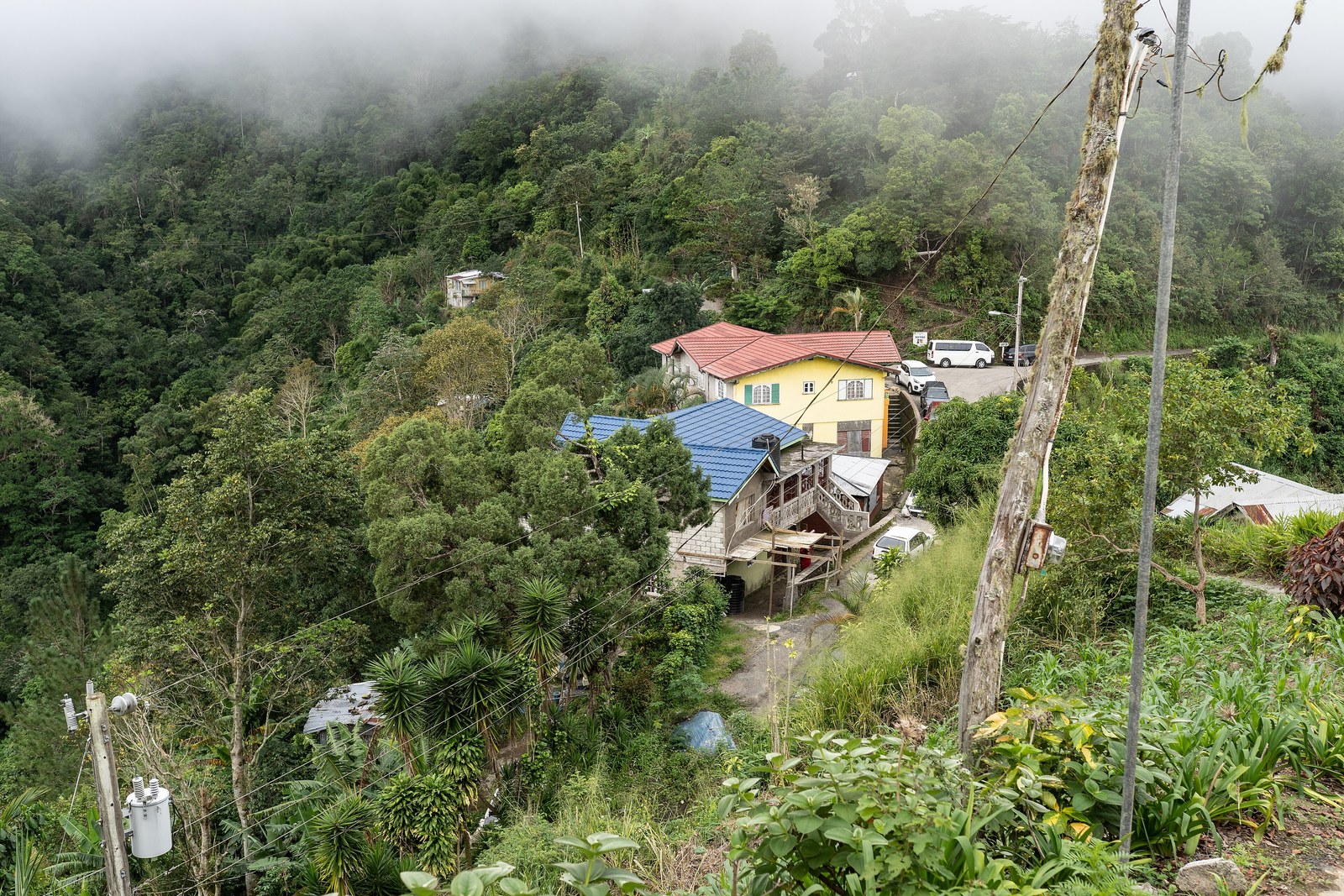 Houses on a steep forested ridge in the village of Section, Blue Mountains, Portland Parish, Jamaica, under low cloud