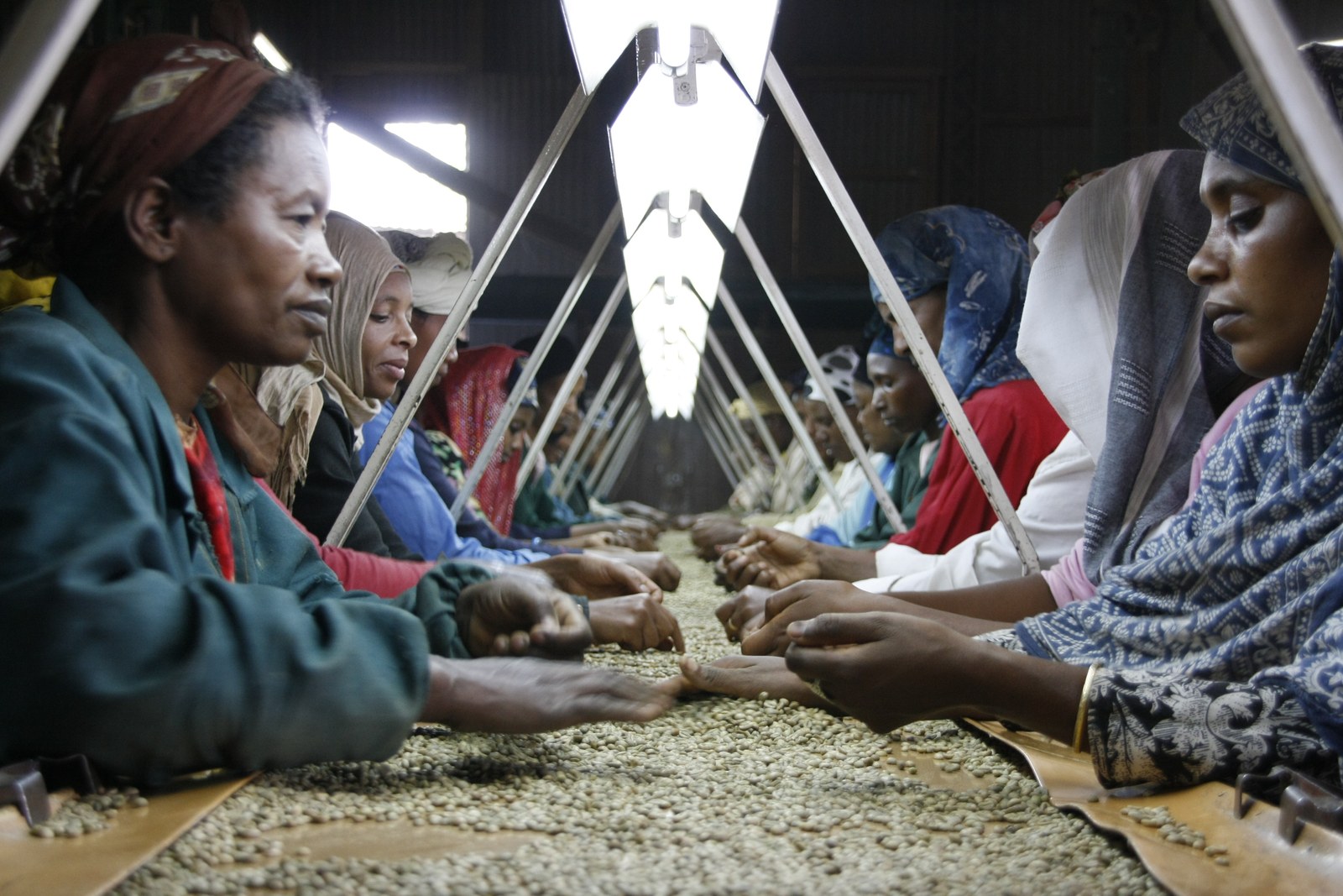 Workers at a coffee buyer and exporter based in Addis Ababa, Ethiopia, sort the beans for export.