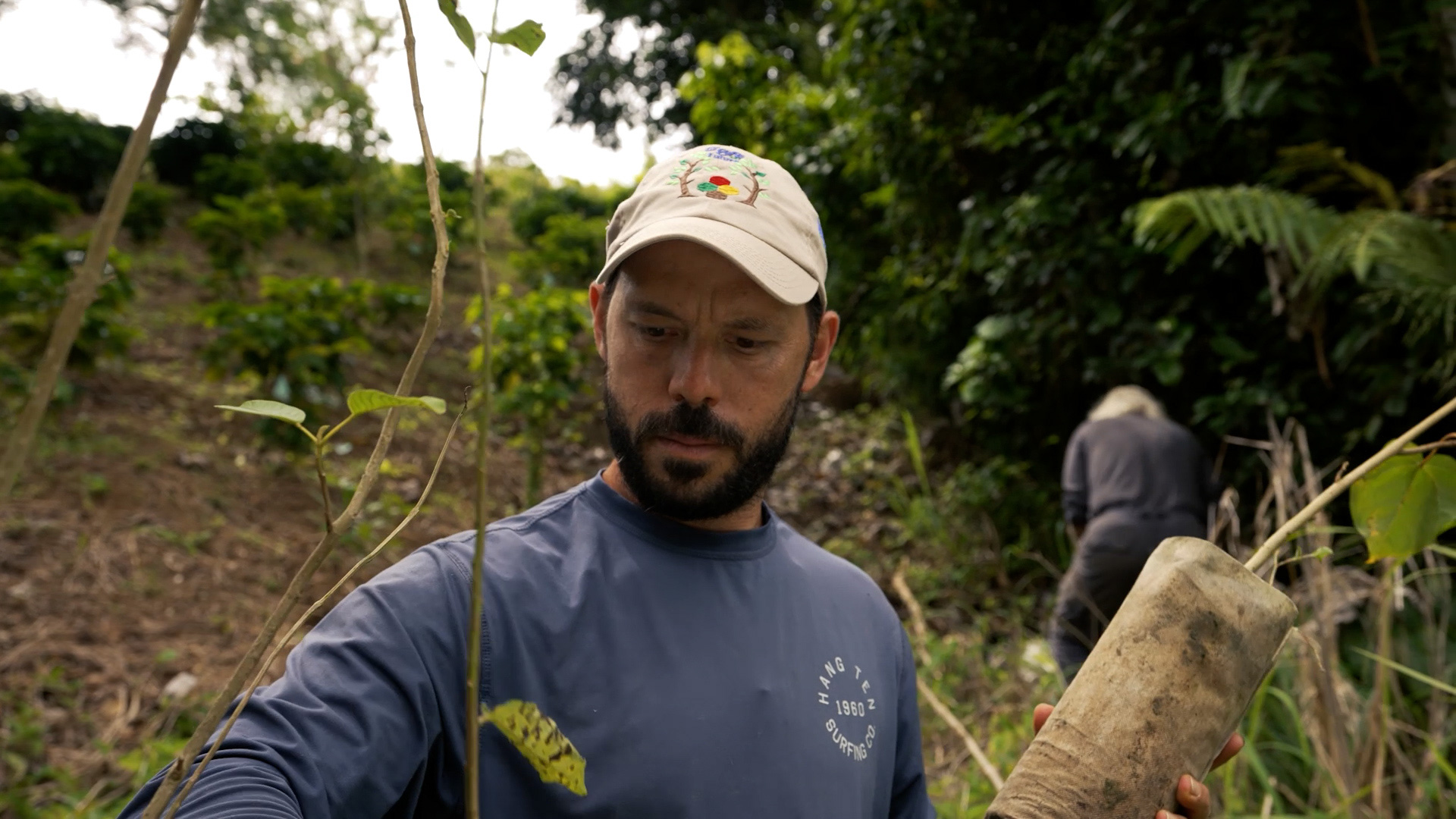 Gustavo Arroyo, a Cafe del Futuro participant, holds a tree sapling ready for planting at Rancho Contento Coffee Estates, Puerto Rico, November 2024.