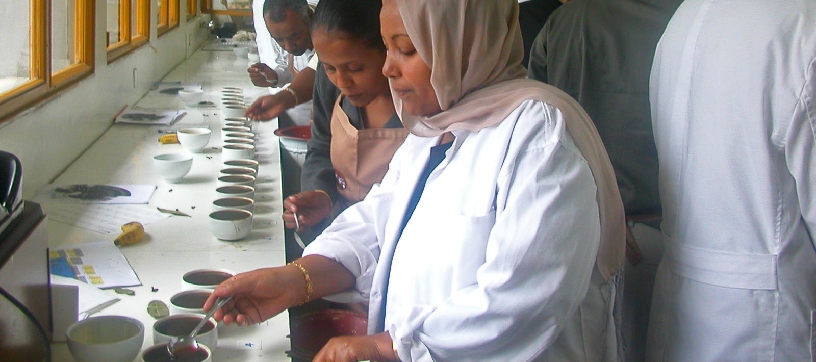 Tasters cupping coffee side by side at a long bench.