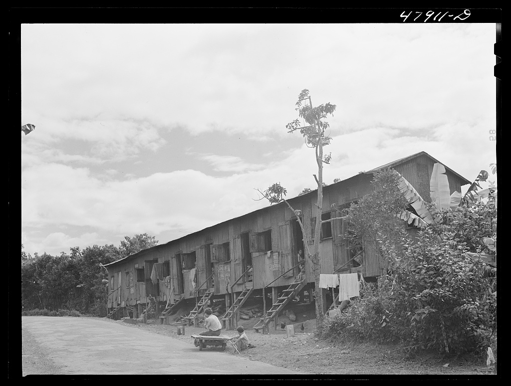 Coffee labourers' houses near Lajas, Puerto Rico, 1942